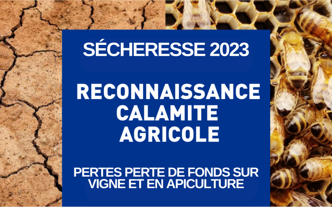 Calamité agricole  – Sécheresse 2023 perte de fonds sur vigne et en apiculture